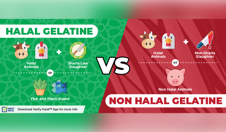Halal Gelatine Tales - Serunai Commerce